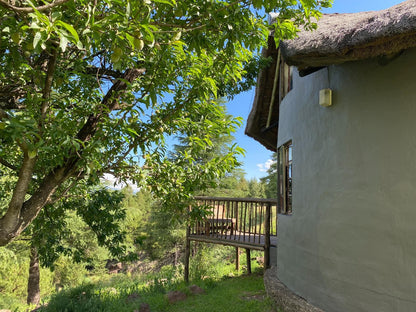 Khotso Lodge And Horse Trails Underberg Kwazulu Natal South Africa Tree, Plant, Nature, Wood