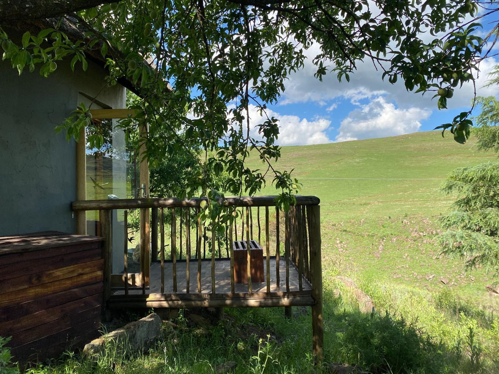 Khotso Lodge And Horse Trails Underberg Kwazulu Natal South Africa Cabin, Building, Architecture, Meadow, Nature, Tree, Plant, Wood