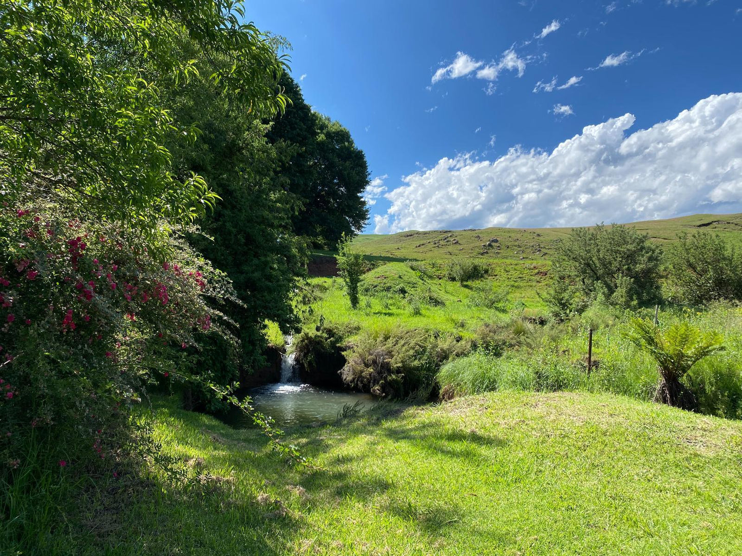 Campsite @ Khotso Lodge & Horse Trails