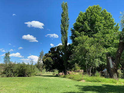 Campsite @ Khotso Lodge & Horse Trails