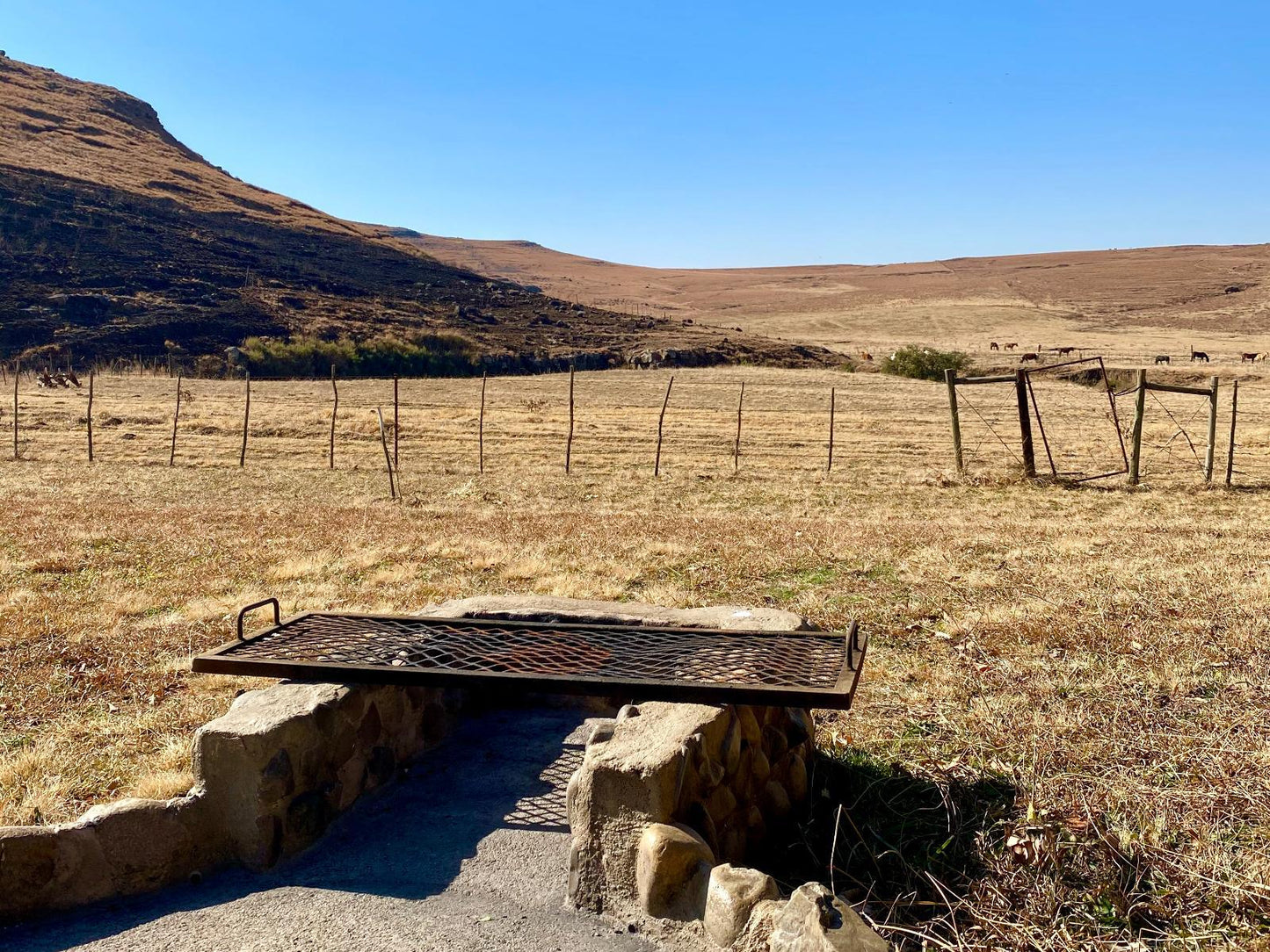 Campsite @ Khotso Lodge & Horse Trails