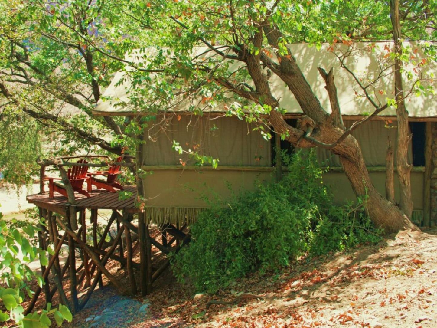 Khowarib Lodge, Family Tented Chalet ( 4 ppl), Tree, Plant, Nature, Wood