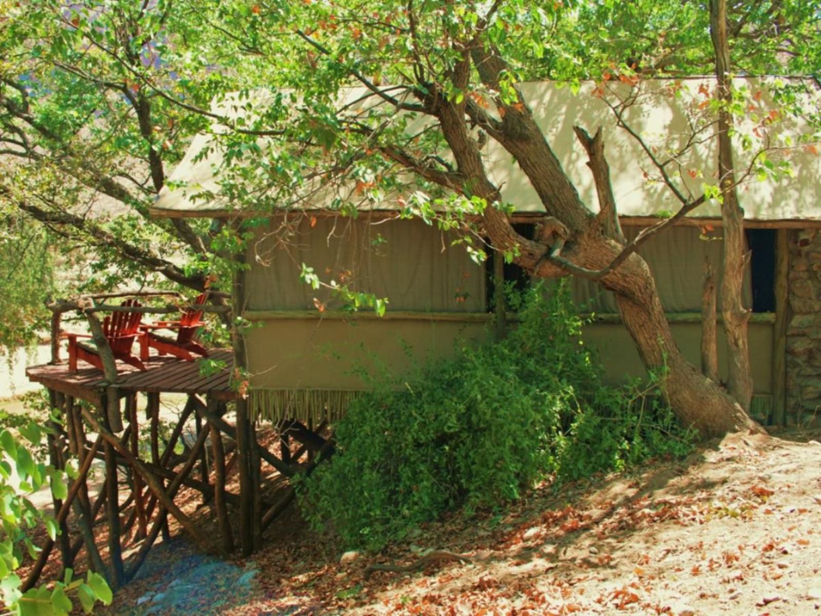 Khowarib Lodge, Self Catering Tent, Tree, Plant, Nature, Wood