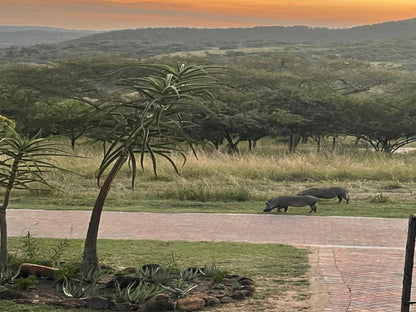 Khululeka Safaris Lodge, Sepia Tones, Animal