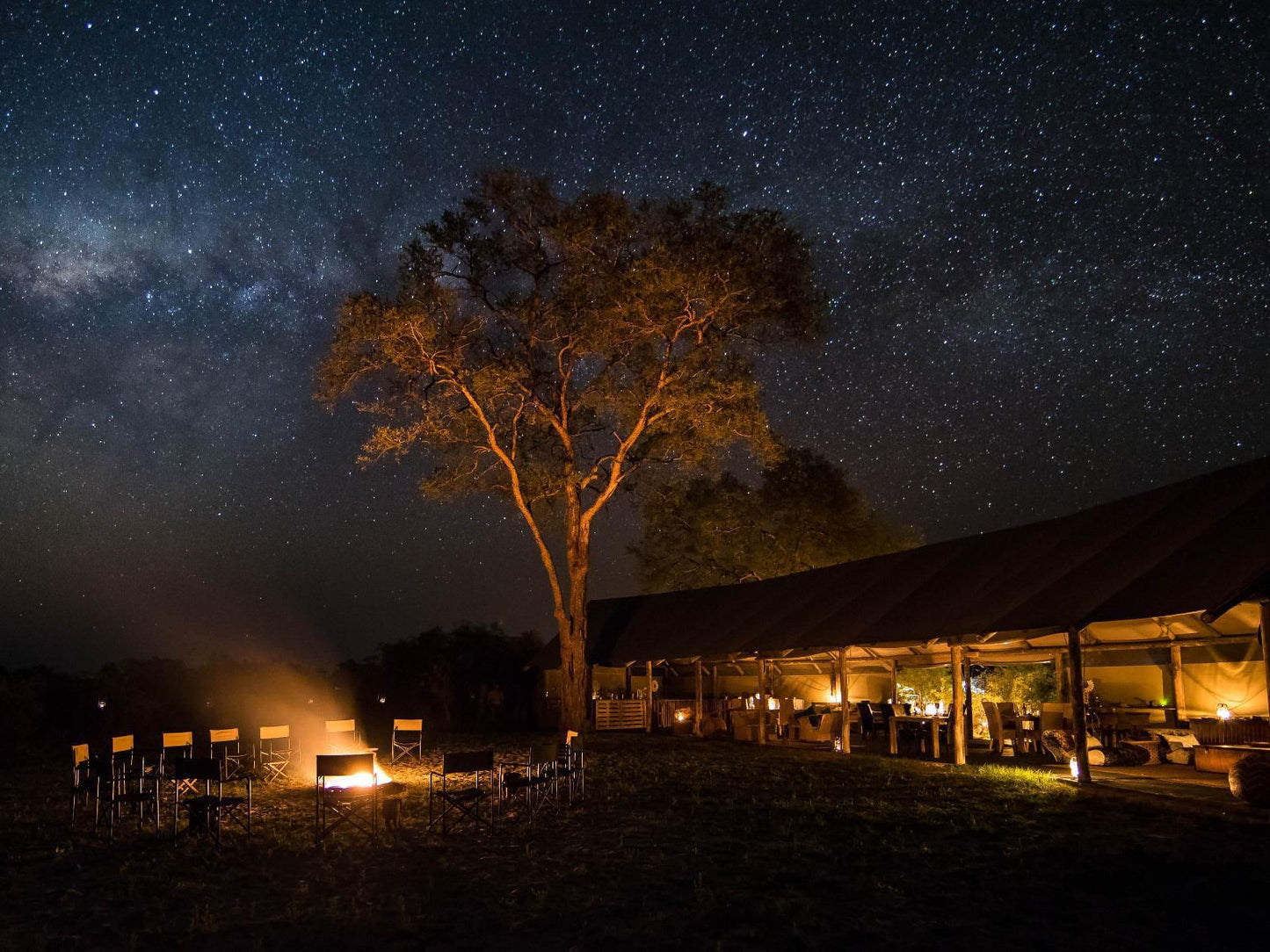 Khwai River View Khwai North West Botswana Nature, Night Sky