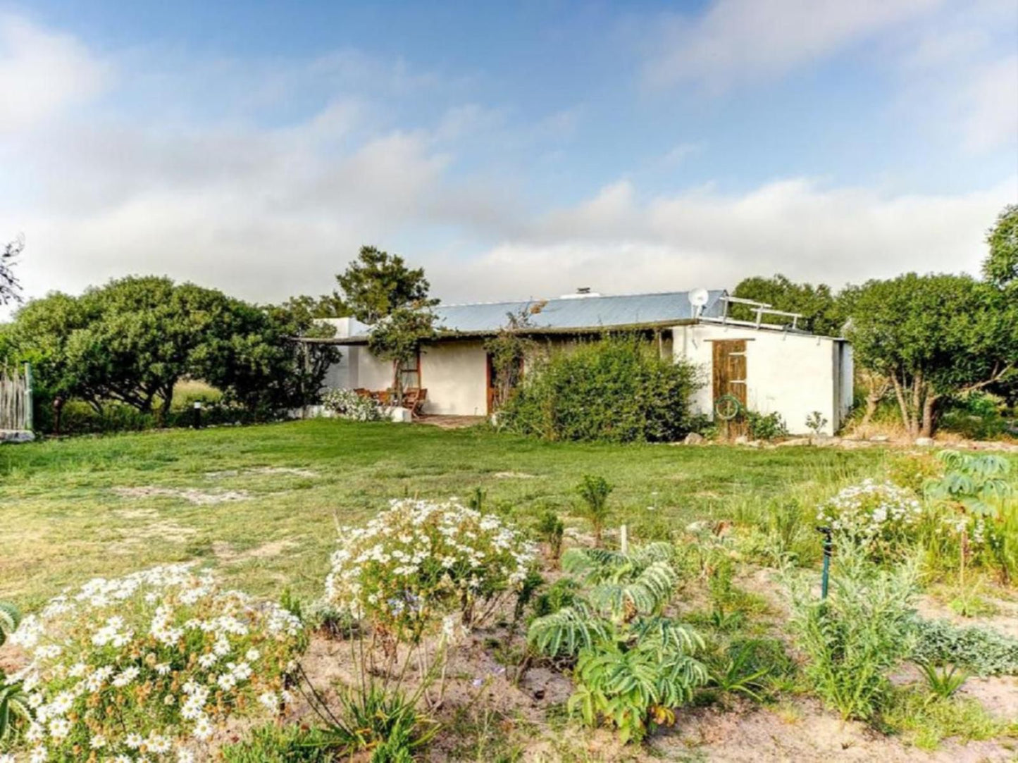 Khwa Ttu Jakkalsfontein Western Cape South Africa Complementary Colors, House, Building, Architecture, Garden, Nature, Plant