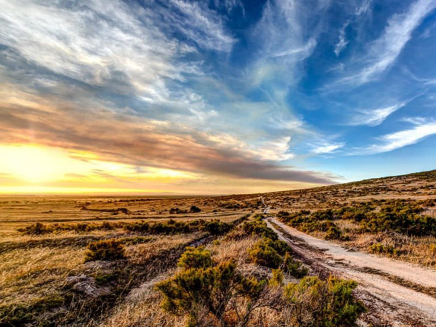 Khwa Ttu Jakkalsfontein Western Cape South Africa Complementary Colors, Lowland, Nature