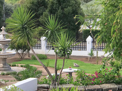 Kia Ora Guest House Beaufort West Western Cape South Africa House, Building, Architecture, Palm Tree, Plant, Nature, Wood, Garden