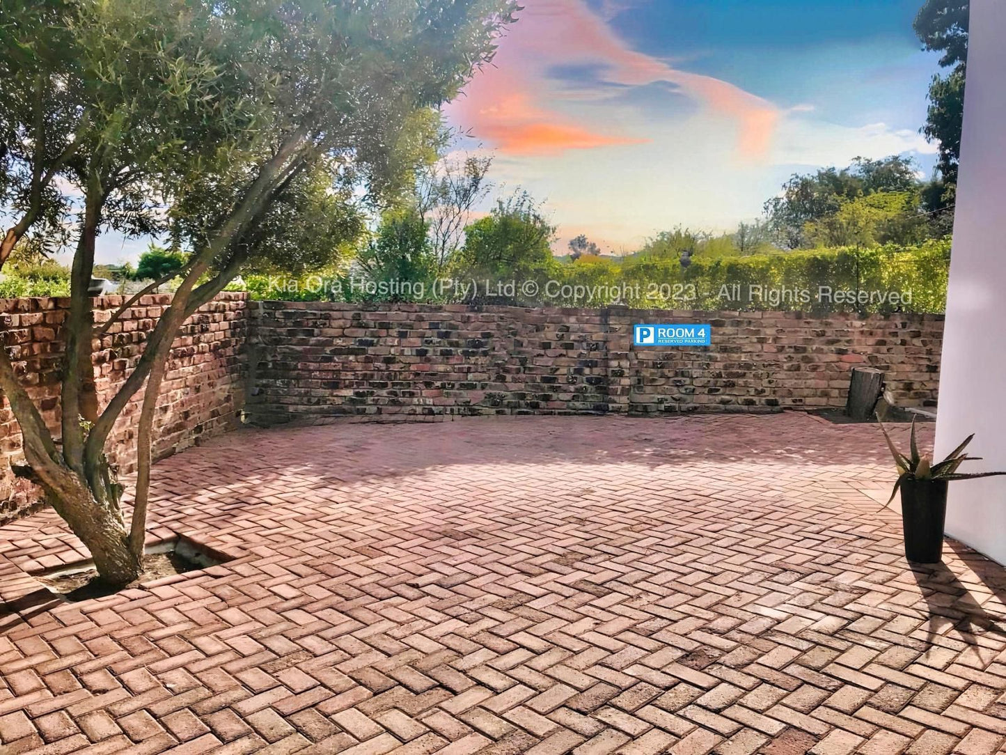 Kia Ora Guest House Beaufort West Western Cape South Africa Brick Texture, Texture, Garden, Nature, Plant