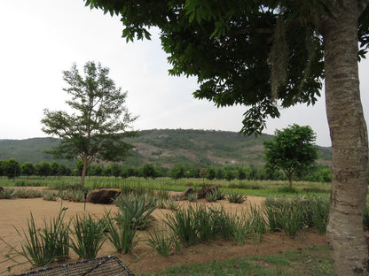 Kiaat Bungalows Hazyview Mpumalanga South Africa Field, Nature, Agriculture, Lowland