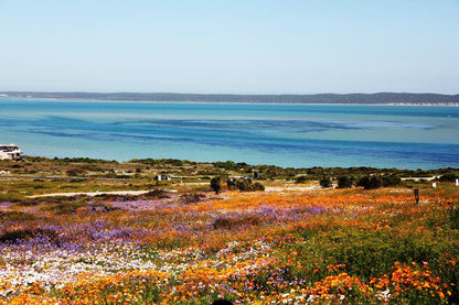 Kian S Place Myburgh Park Langebaan Western Cape South Africa Complementary Colors, Colorful, Beach, Nature, Sand