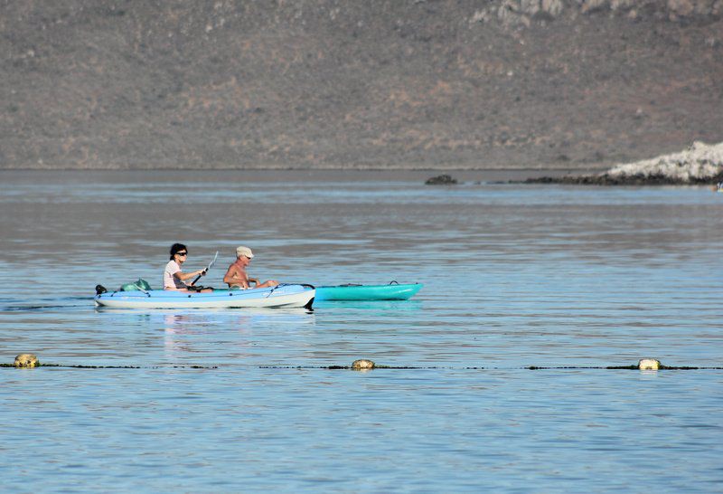 Kian S Place Myburgh Park Langebaan Western Cape South Africa Boat, Vehicle, Canoe, Lake, Nature, Waters