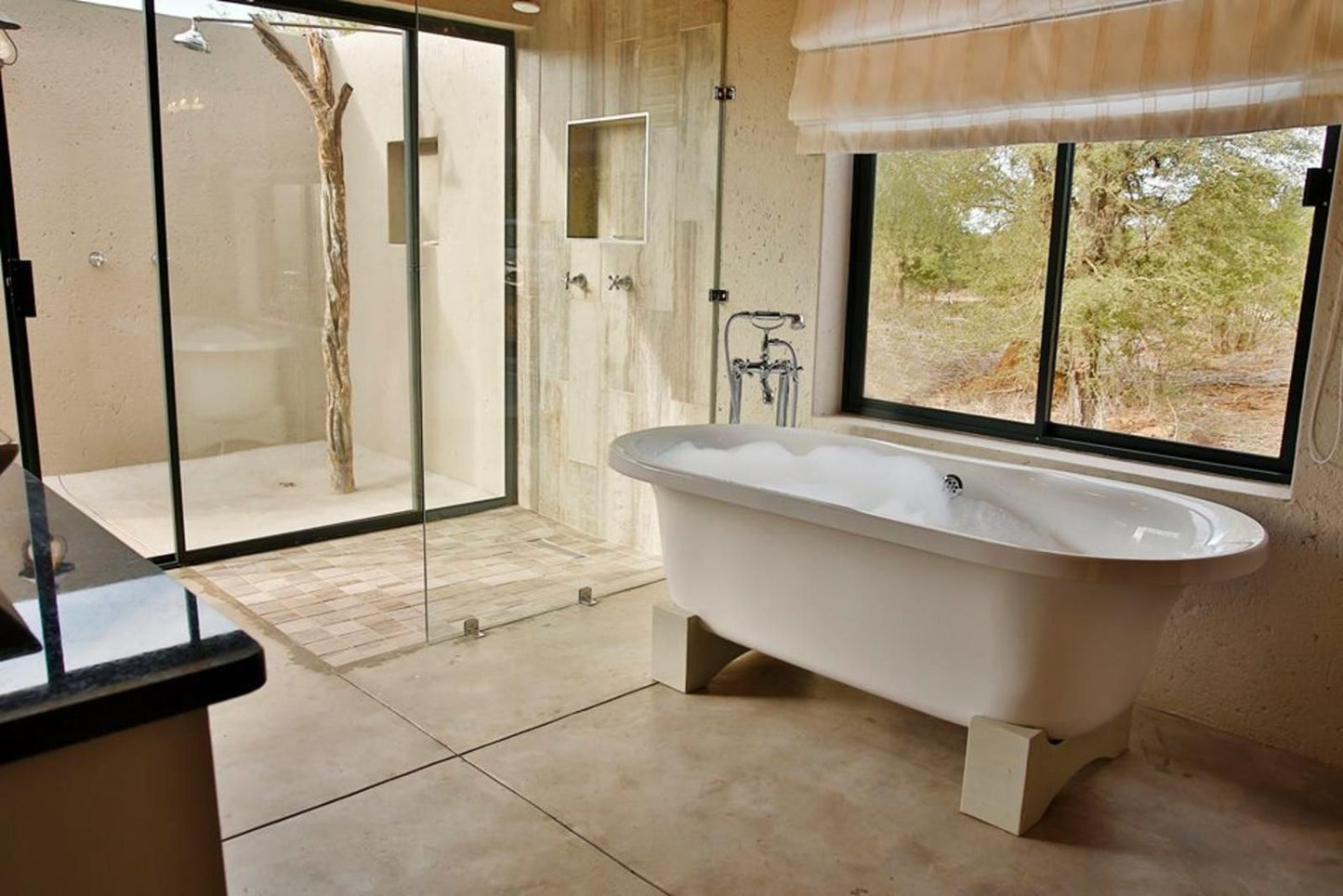 Kierieklapper Bush Lodge Kruger Mjejane Private Game Reserve Mpumalanga South Africa Bathroom