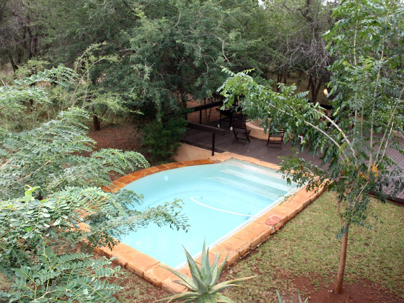 Kierieklapper River House Marloth Park Mpumalanga South Africa Garden, Nature, Plant, Swimming Pool