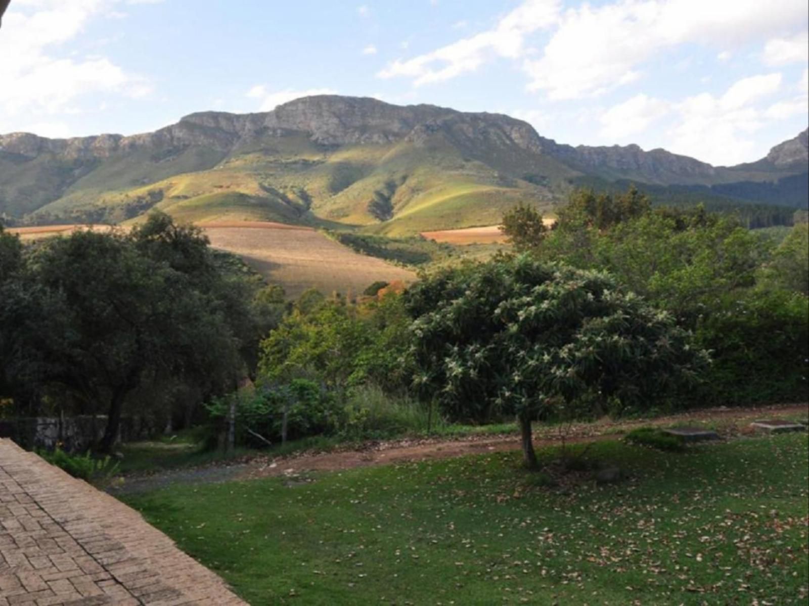 Kierie Kwaak Self Catering Cottages Stellenbosch Western Cape South Africa Nature