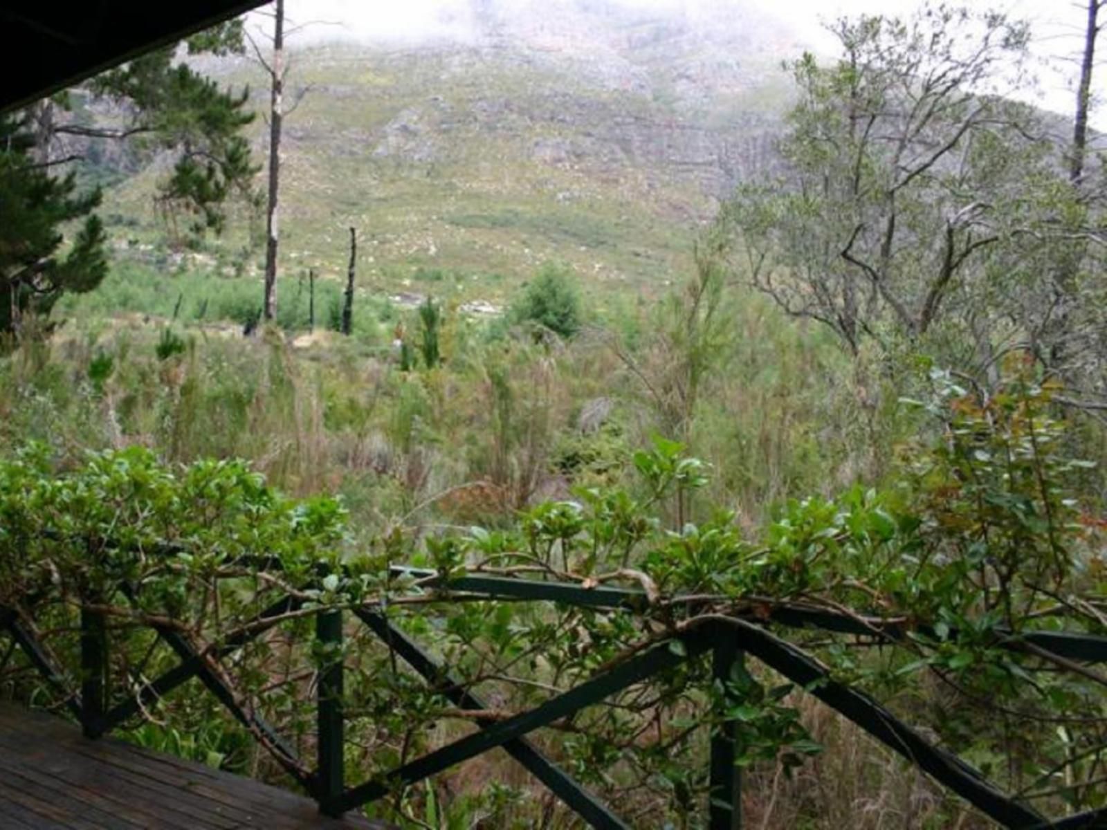 Kierie Kwaak Self Catering Cottages Stellenbosch Western Cape South Africa Forest, Nature, Plant, Tree, Wood, Highland