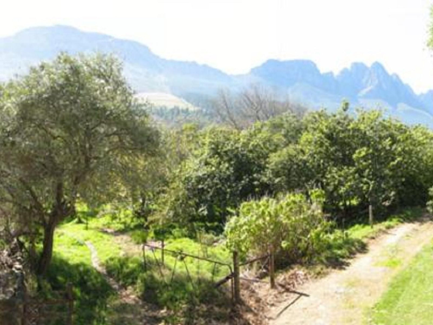 Kierie Kwaak Self Catering Cottages Stellenbosch Western Cape South Africa Tree, Plant, Nature, Wood, Highland