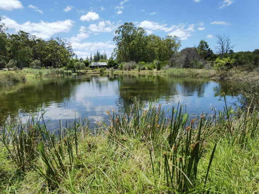 Kiki S Khaya Botterkloof Stilbaai Western Cape South Africa Complementary Colors, River, Nature, Waters