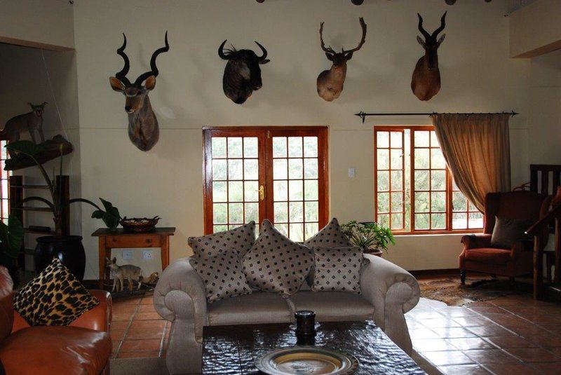 Kikuyu Lodge Game Reserve Alexandria Eastern Cape South Africa Living Room