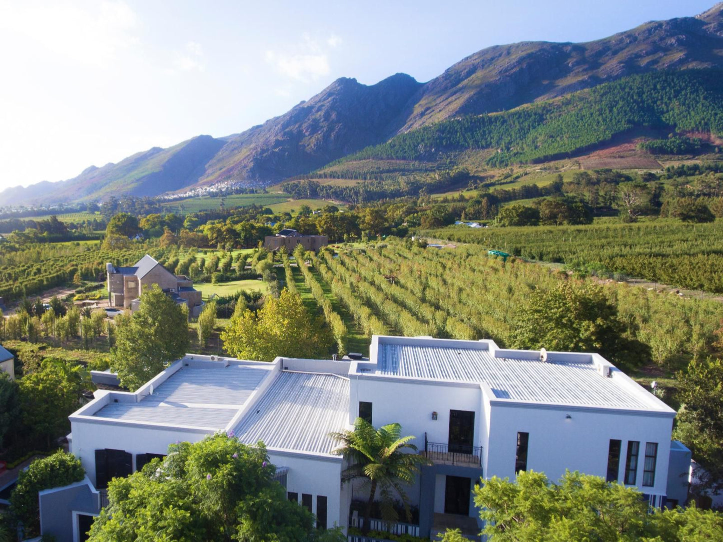 Kilima Franschhoek Franschhoek Western Cape South Africa Complementary Colors, Mountain, Nature, Highland