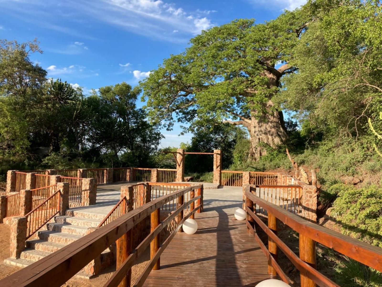 Kilima Private Game Reserve And Spa Gravelotte Limpopo Province South Africa Complementary Colors
