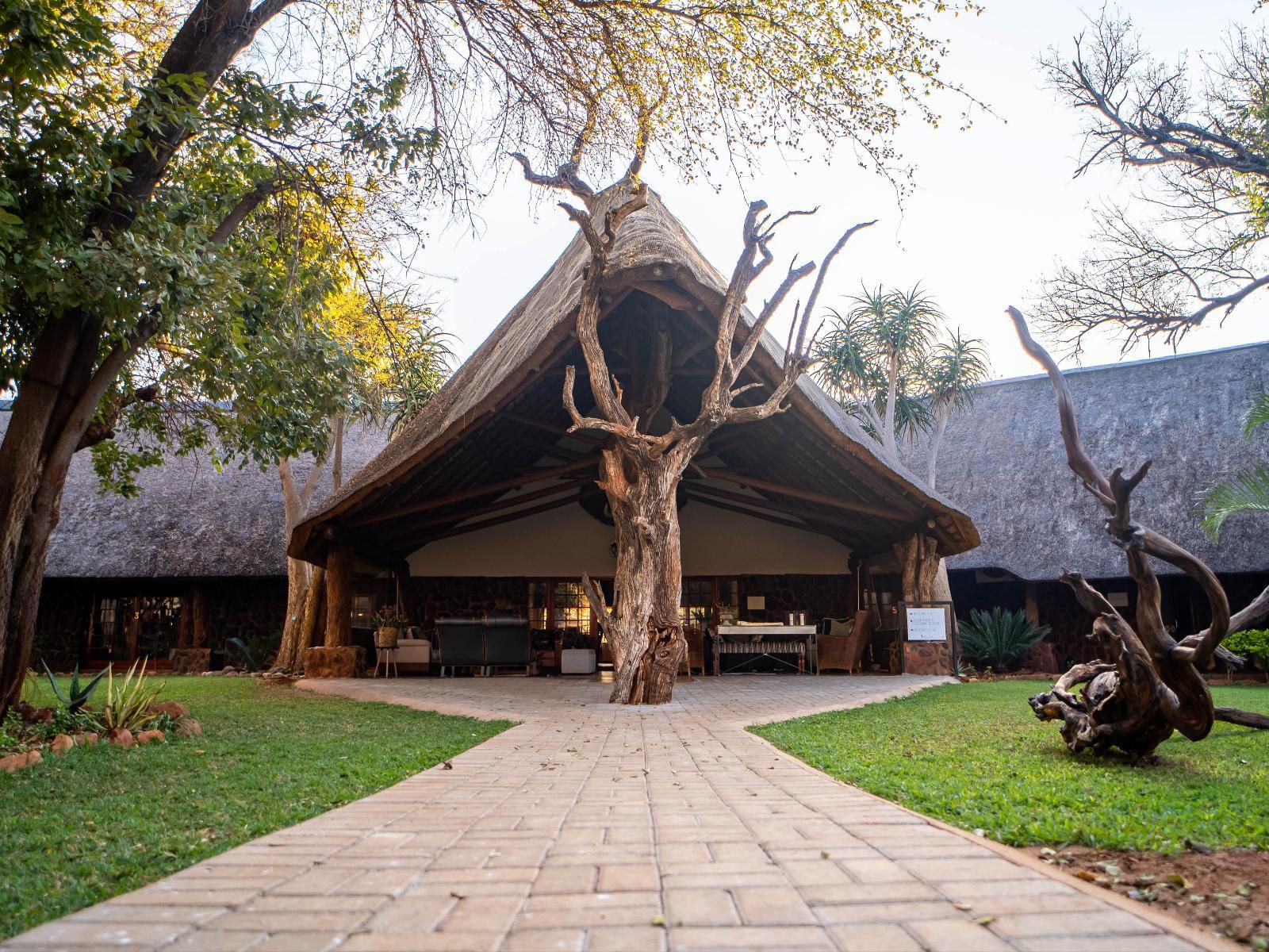 Kilima Private Game Reserve And Spa Gravelotte Limpopo Province South Africa 