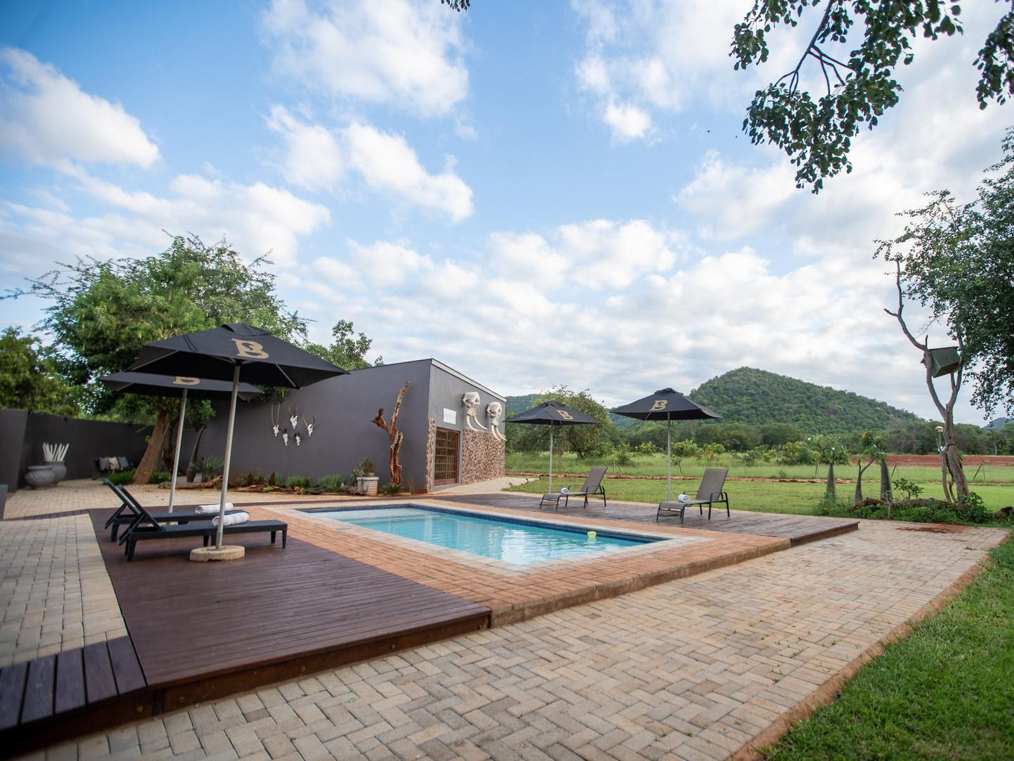 Kilima Private Game Reserve And Spa Gravelotte Limpopo Province South Africa Swimming Pool