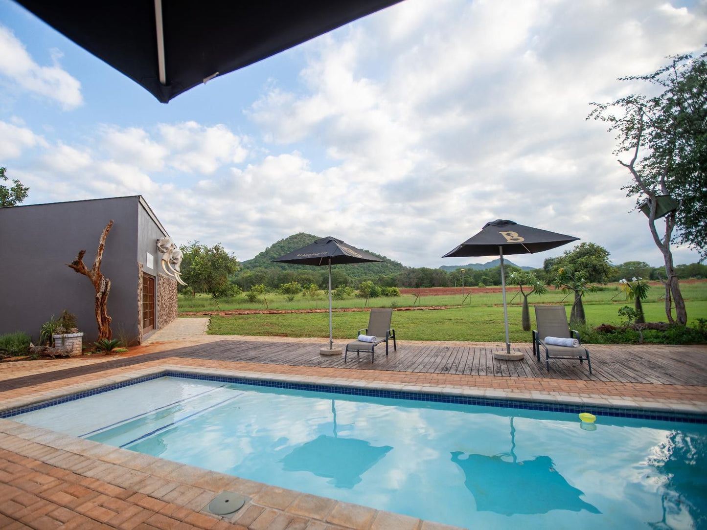 Kilima Private Game Reserve And Spa Gravelotte Limpopo Province South Africa Complementary Colors, Swimming Pool