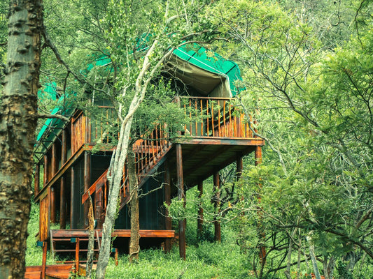 Marula Treetop Tent @ Kilima Private Game Reserve And Spa