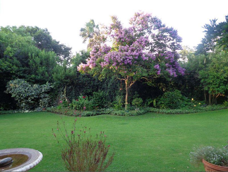 Killiney Private Guest House Potchefstroom North West Province South Africa Plant, Nature, Garden