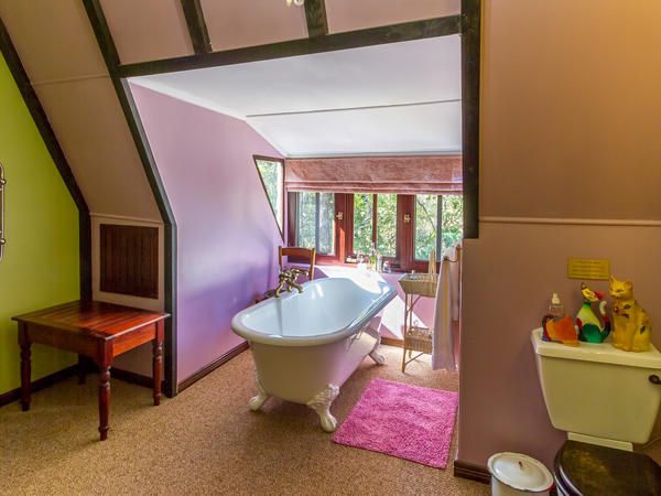 Kilmorna Manor Guest House And Private Nature Reserve Schoemanskloof Mpumalanga South Africa Bathroom