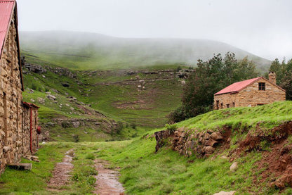 Kilrush Experience 1880 Underberg Kwazulu Natal South Africa Highland, Nature