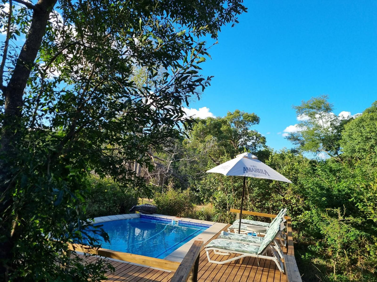 Kingfisher Creek Guernsey Nature Reserve Amanda Limpopo Province South Africa Complementary Colors, Garden, Nature, Plant, Swimming Pool