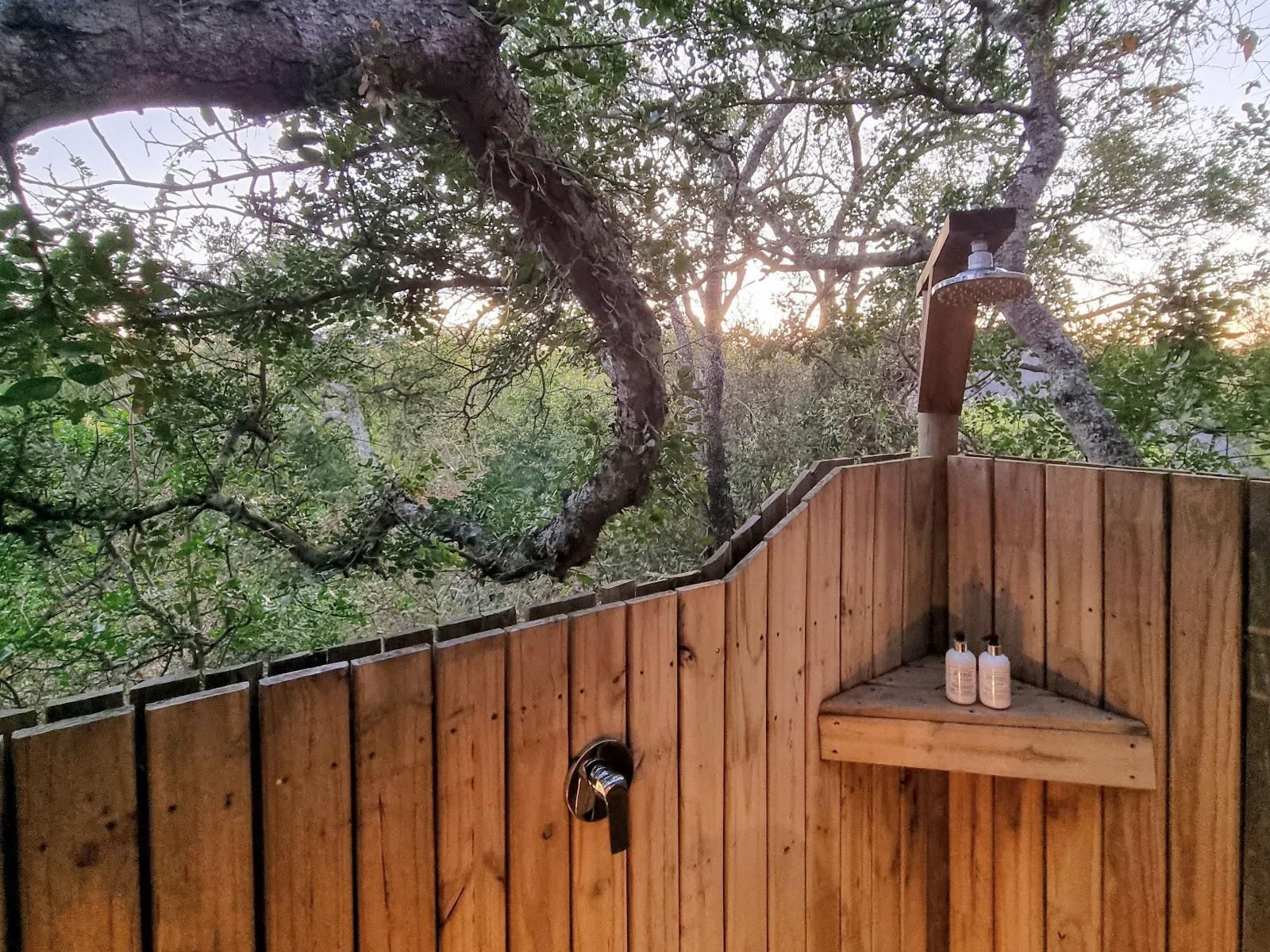 Kingfisher Creek Guernsey Nature Reserve Amanda Limpopo Province South Africa Cabin, Building, Architecture, Framing