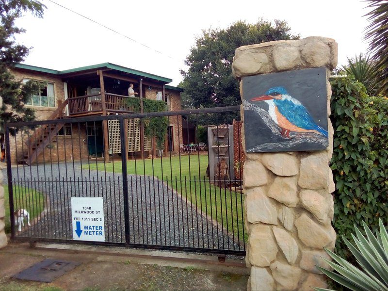 Kingfisher Blue On Milkwood Sabie Mpumalanga South Africa Flag
