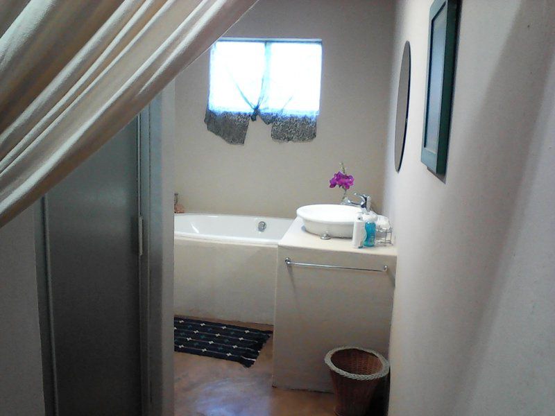Kingfisher Blue On Milkwood Sabie Mpumalanga South Africa Unsaturated, Bathroom