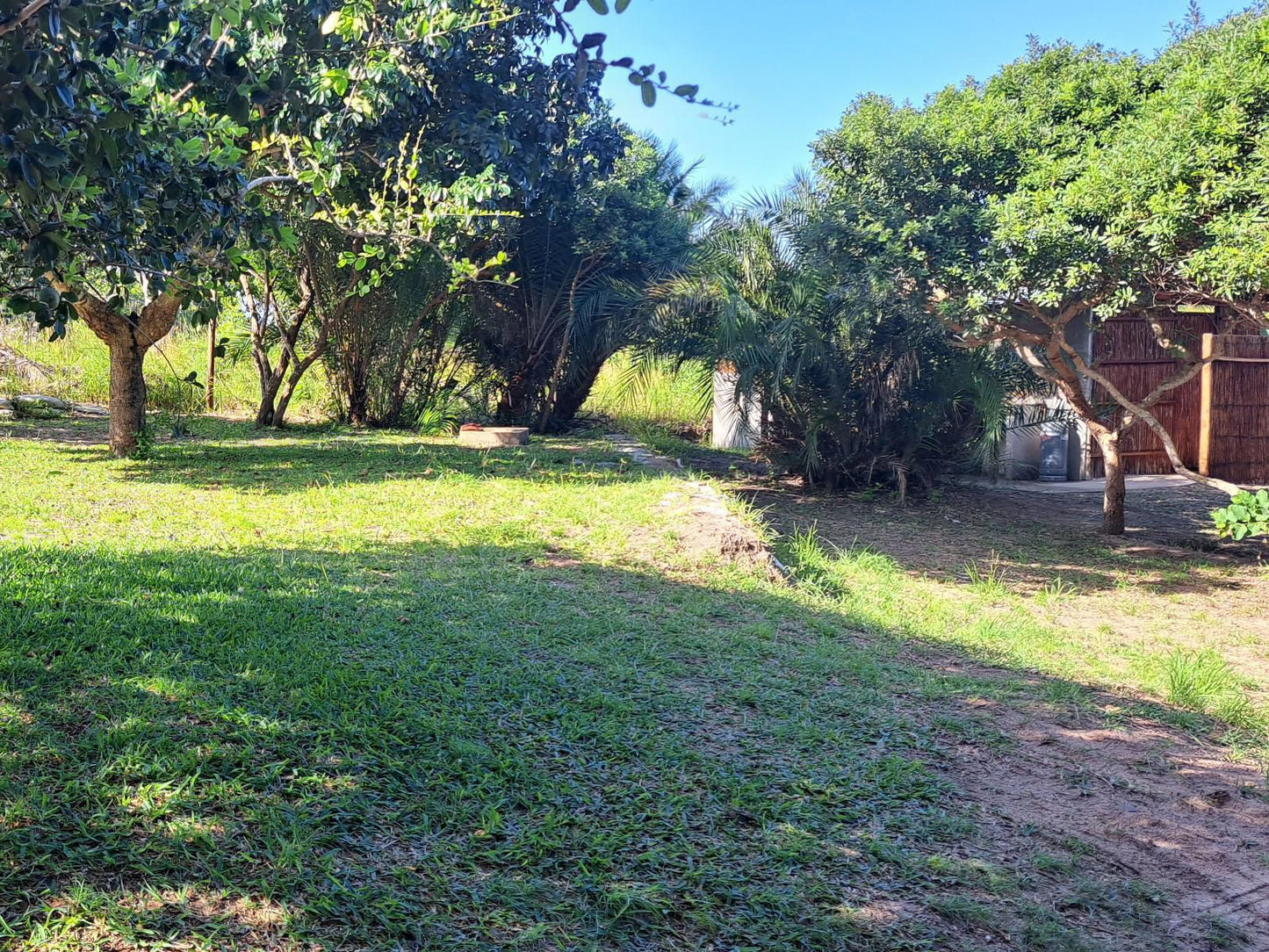 Kingfisher Bush Lodge Kosi Bay Kwazulu Natal South Africa Palm Tree, Plant, Nature, Wood