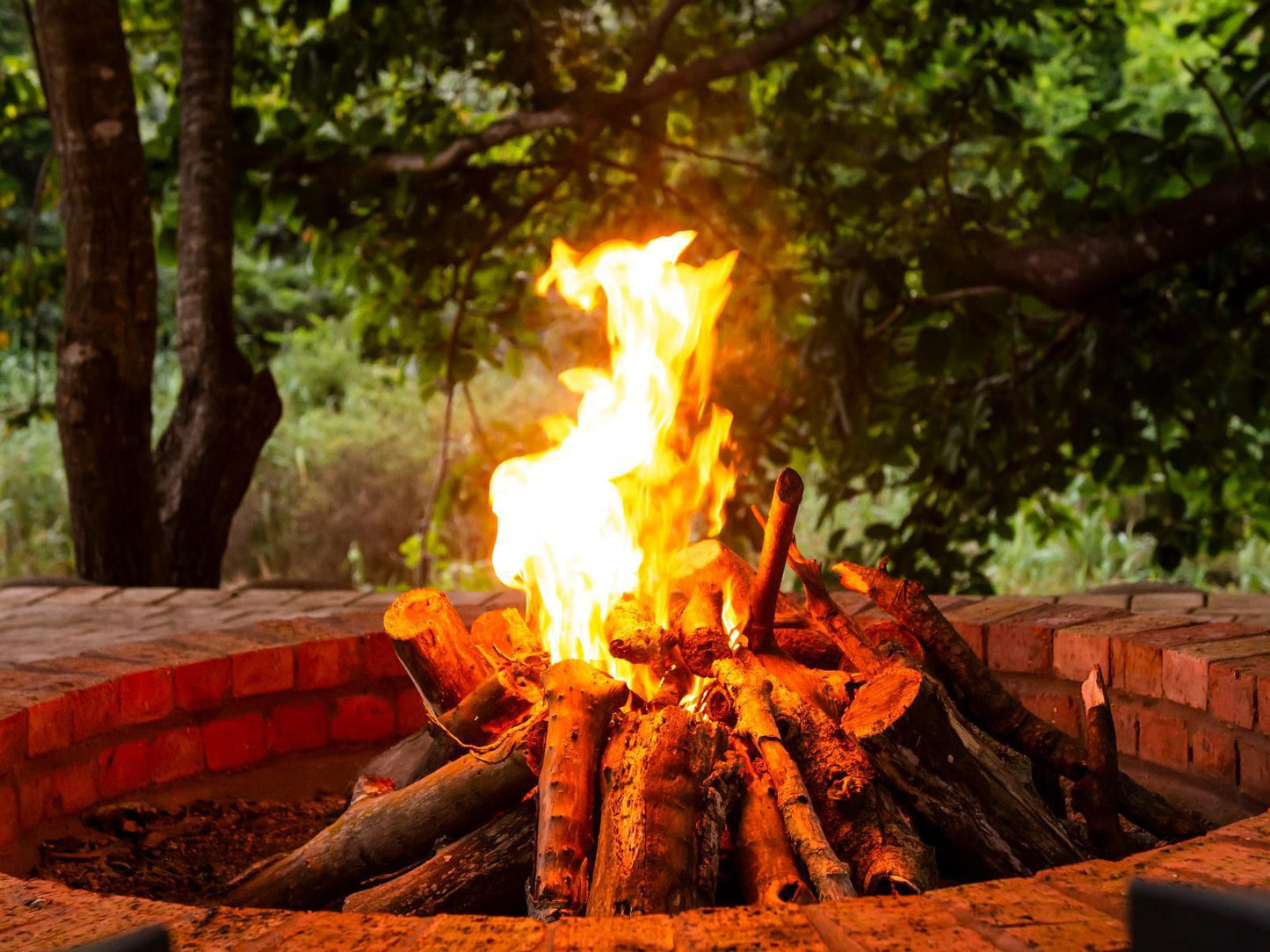 Kingfisher Lakeside Retreat Trafalgar Kwazulu Natal South Africa Colorful, Fire, Nature