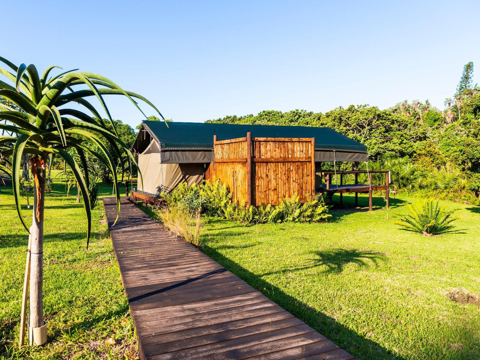 Kingfisher Lakeside Retreat Trafalgar Kwazulu Natal South Africa Complementary Colors