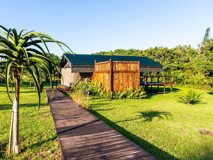 Kingfisher Lakeside Retreat Trafalgar Kwazulu Natal South Africa Complementary Colors