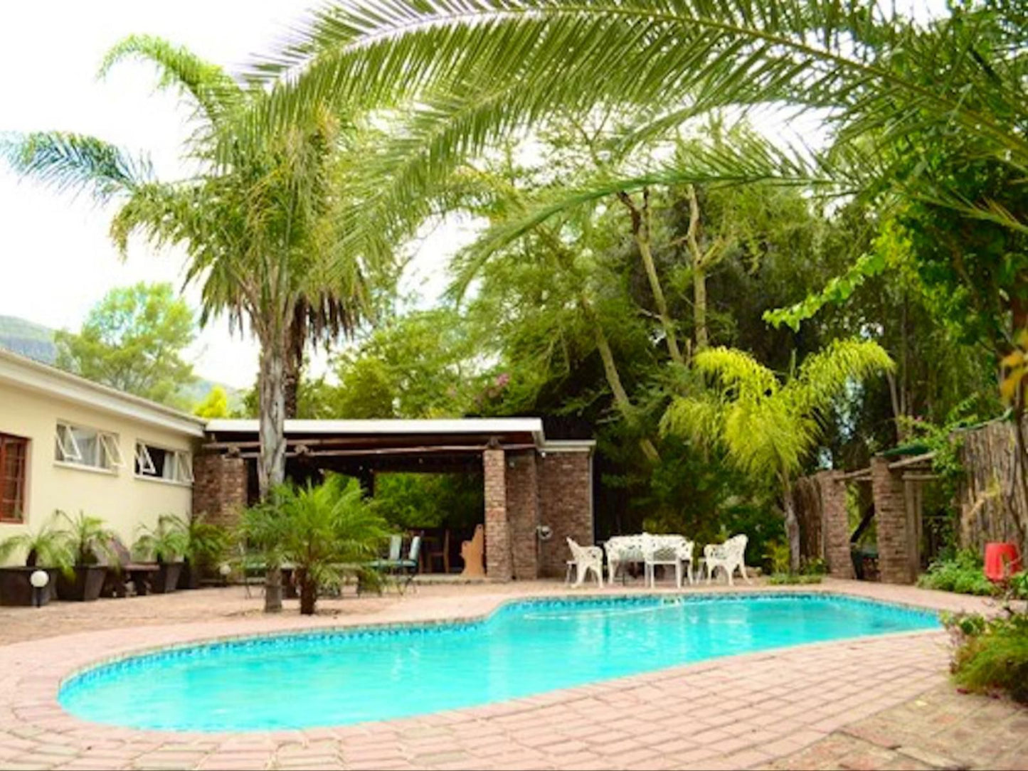 Kingfisher Lodge Graaff Reinet Eastern Cape South Africa Palm Tree, Plant, Nature, Wood, Garden, Swimming Pool