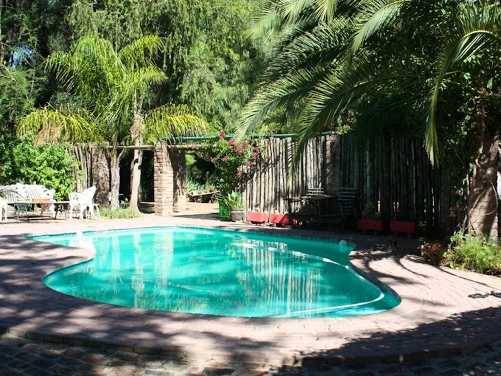 Kingfisher Lodge Graaff Reinet Eastern Cape South Africa Palm Tree, Plant, Nature, Wood, Garden, Swimming Pool