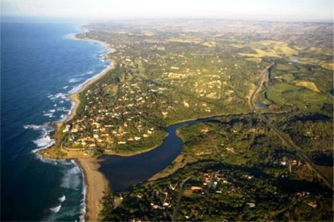 Kingfisher Southbroom Kwazulu Natal South Africa Beach, Nature, Sand, Aerial Photography