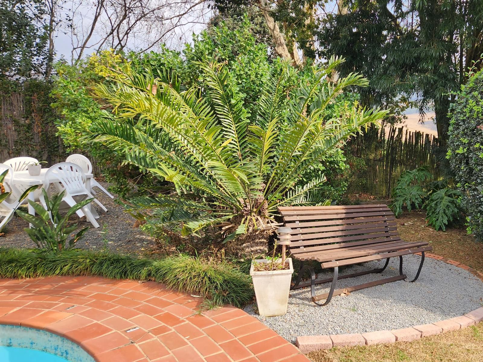 King'S Hill Guest House, Palm Tree, Plant, Nature, Wood, Garden