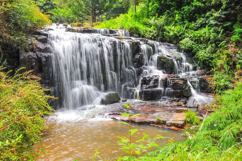 King S Lodge Hotel Hogsback Eastern Cape South Africa River, Nature, Waters, Tree, Plant, Wood, Waterfall