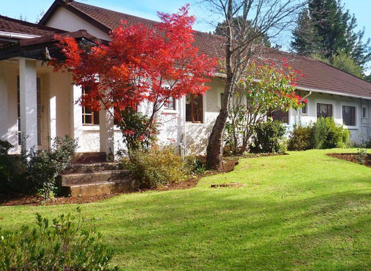 King S Lodge Hotel Hogsback Eastern Cape South Africa House, Building, Architecture, Tree, Plant, Nature, Wood