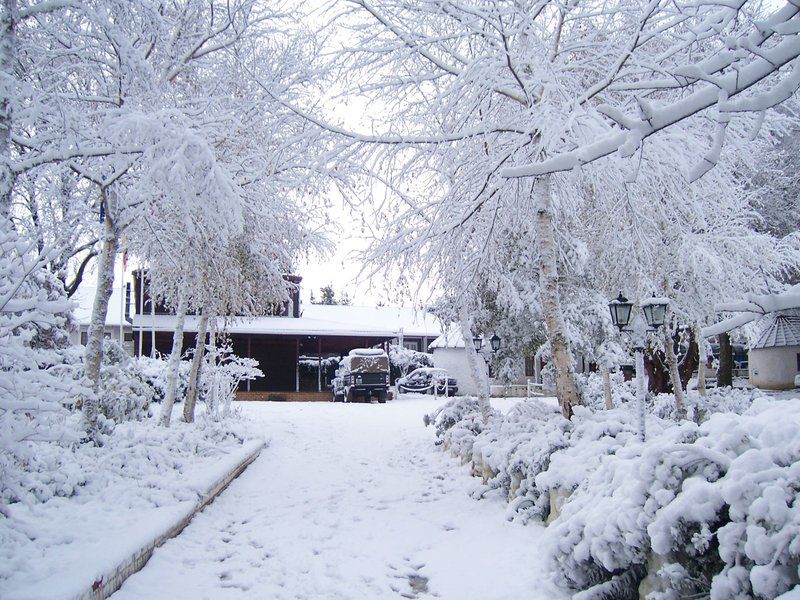 King S Lodge Hotel Hogsback Eastern Cape South Africa Nature, Winter Landscape, Snow, Winter