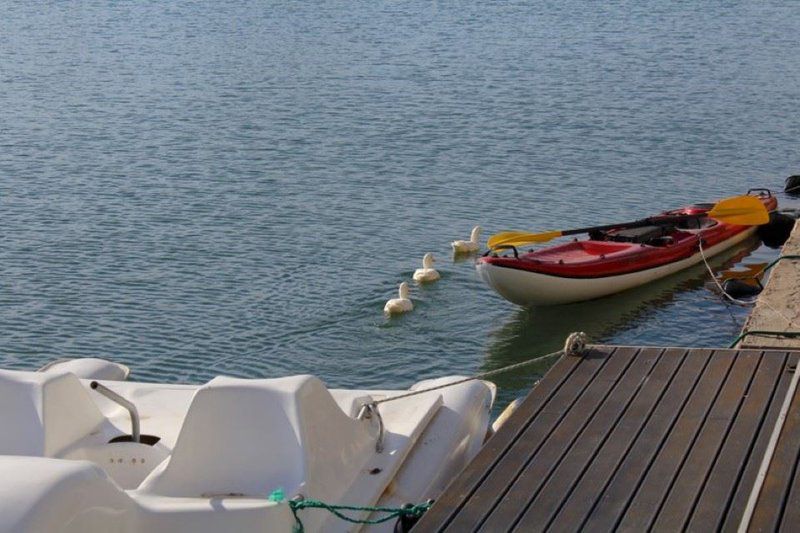 Waterside Living Kingston Place 08 Marina Martinique Jeffreys Bay Eastern Cape South Africa Unsaturated, Boat, Vehicle, Canoe, Lake, Nature, Waters