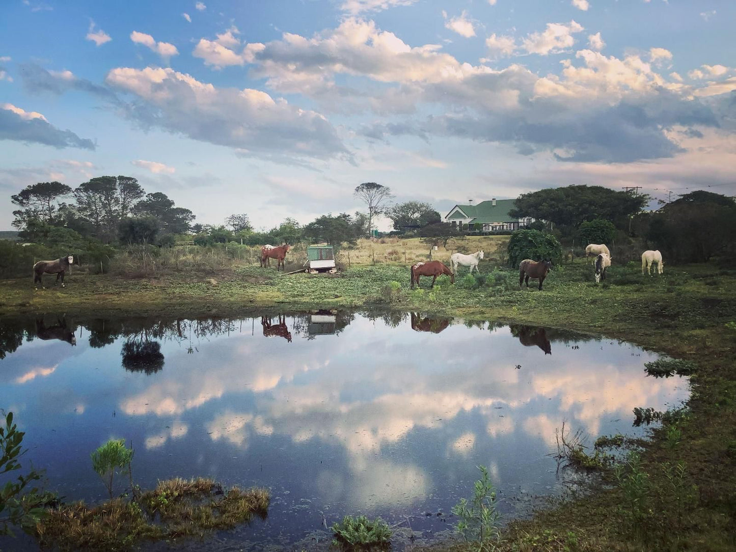 Kingston Farm Bathurst Eastern Cape South Africa 