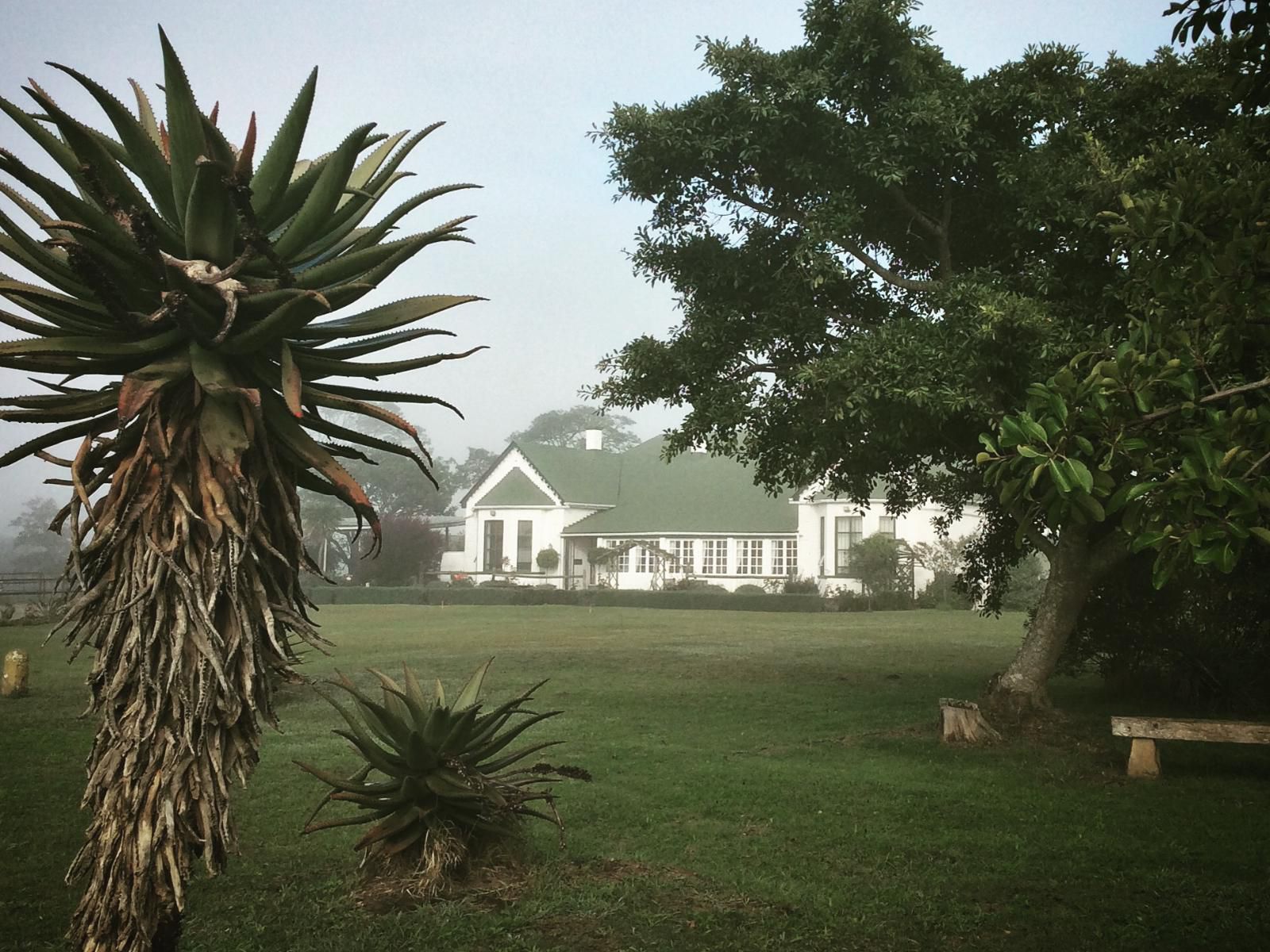 Kingston Farm Bathurst Eastern Cape South Africa House, Building, Architecture, Palm Tree, Plant, Nature, Wood